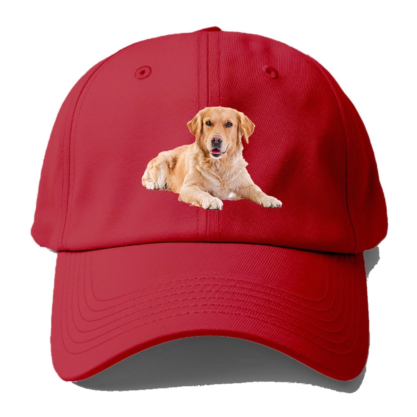 Golden Retriever Laying Down Baseball Cap