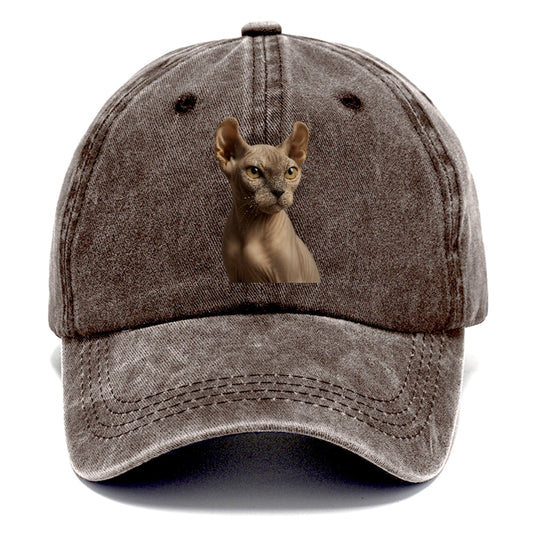 Dwelf Mystical Aura Classic Cap