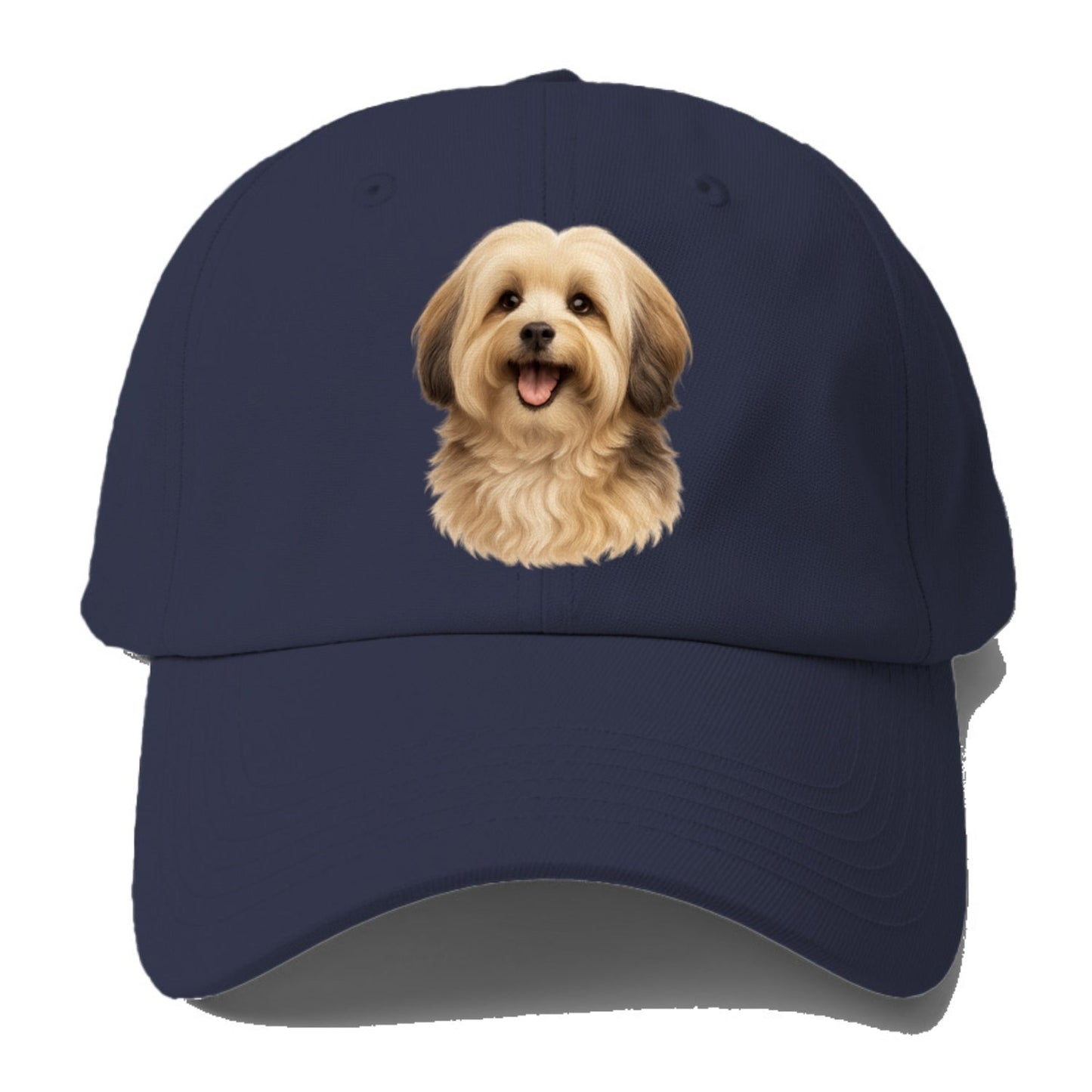 Collection Baseball Cap