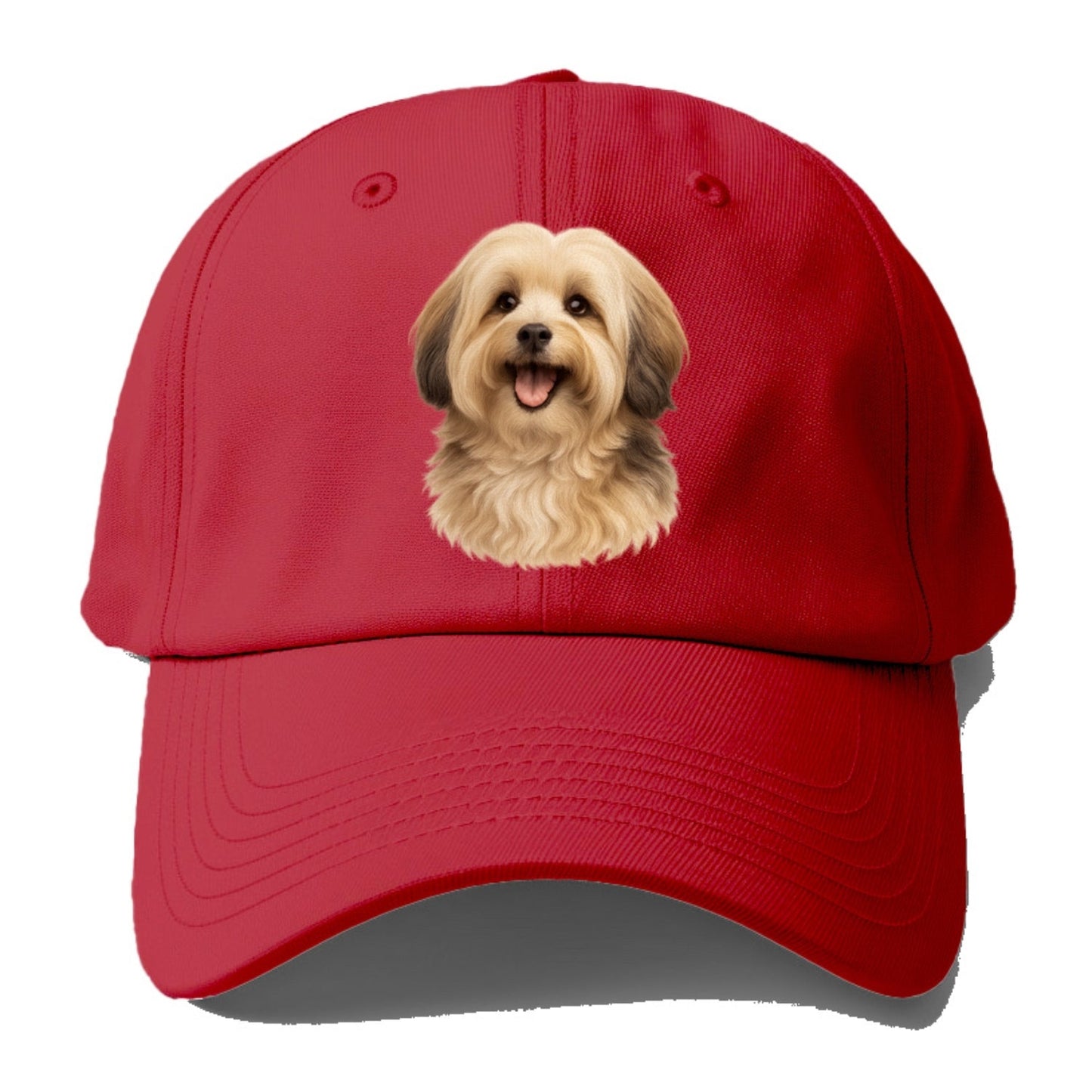 Collection Baseball Cap