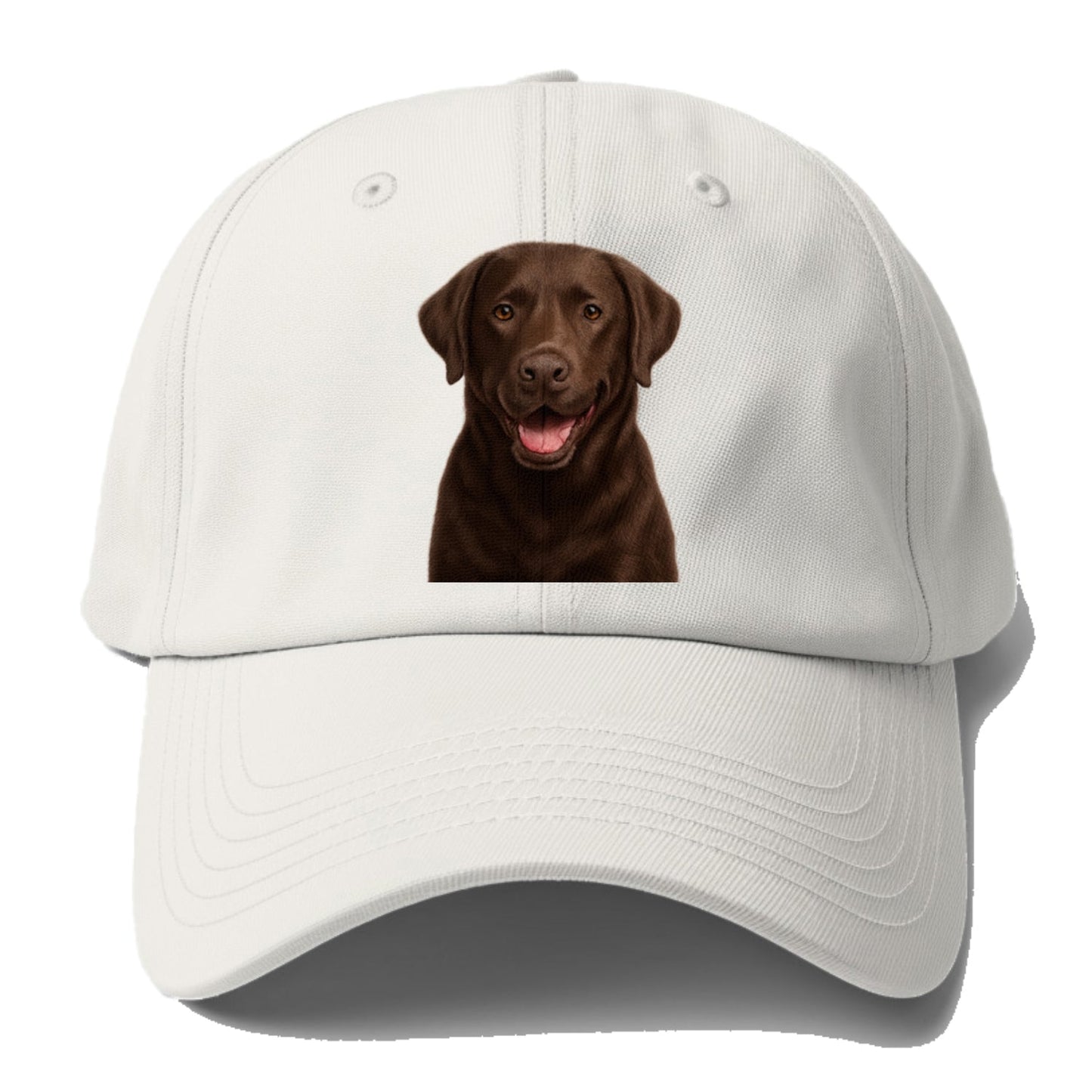 Labrador Friendly Family Baseball Cap