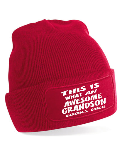 This Is What Awesome Grandson Looks Like Beanie Birthday Gift Great For Men