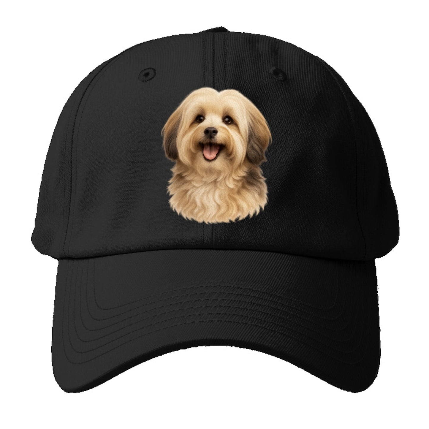 Collection Baseball Cap